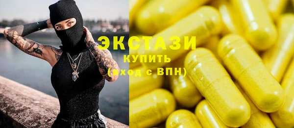 гидра Каменка
