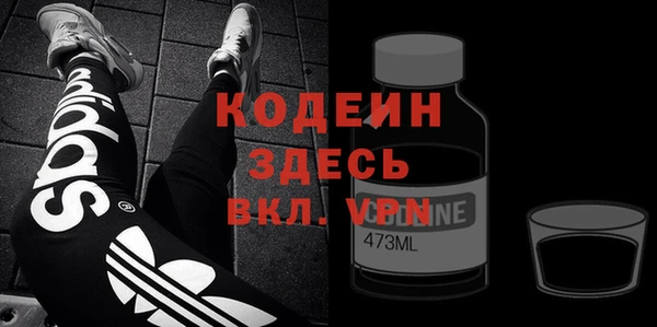 индика Каменногорск