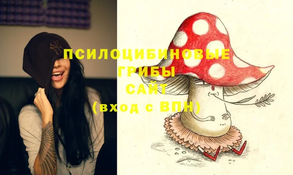 шишки Рославль