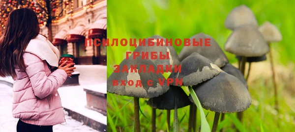 спиды Аркадак